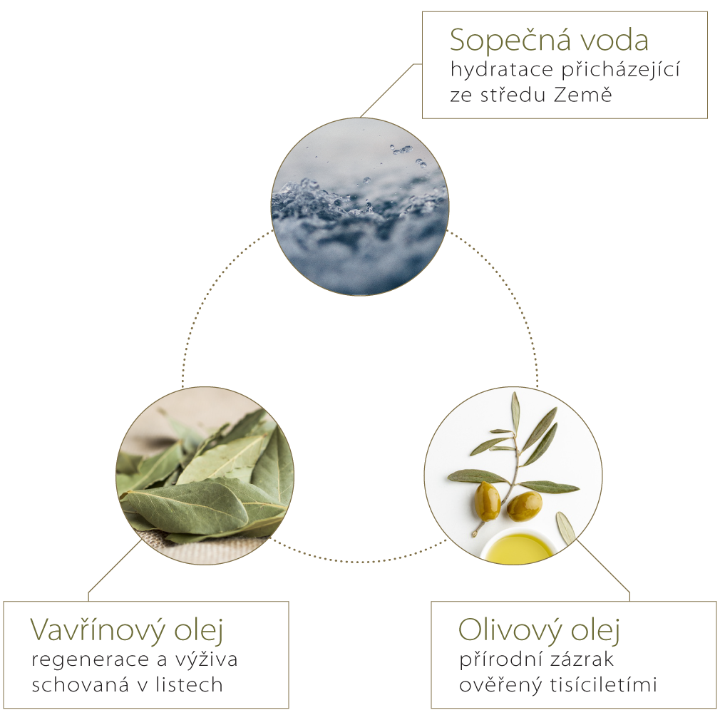 Santo_Volcano_maska_na_vlasy_01